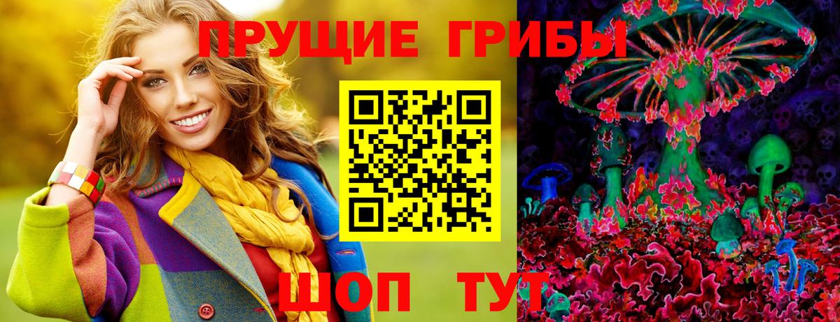 Канаш  купить  цена  Вход с VPN  Галлюциногенные грибы Psilocybe 